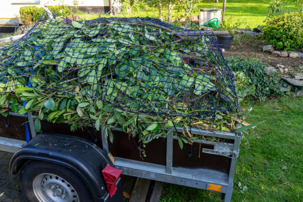Professional Junk Removal Services in Jesup, GA